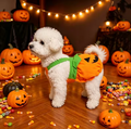 DISFRAZ DE CALABAZA